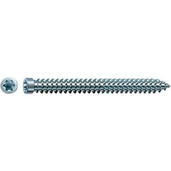 SPAX Cylindrical head, T-STAR plus