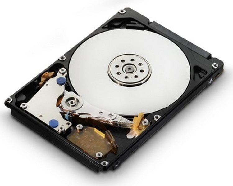 HGST CinemaStar C5K320 160GB 160GB Serial ATA internal hard drive