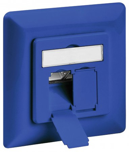 Intellinet 771634 2 x RJ-45 Blue socket-outlet