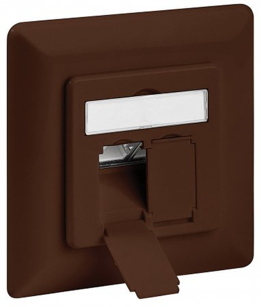 Intellinet 771627 2 x RJ-45 Brown socket-outlet