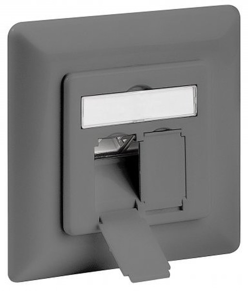 Intellinet 771689 2 x RJ-45 Grey socket-outlet