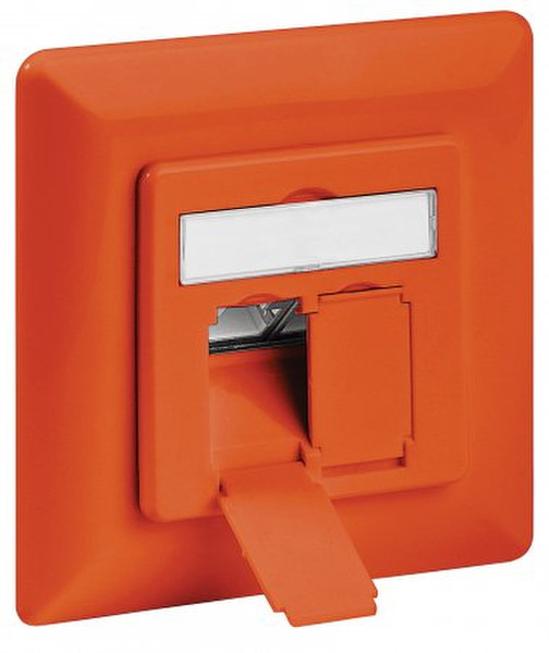 Intellinet 771658 2 x RJ-45 Orange socket-outlet