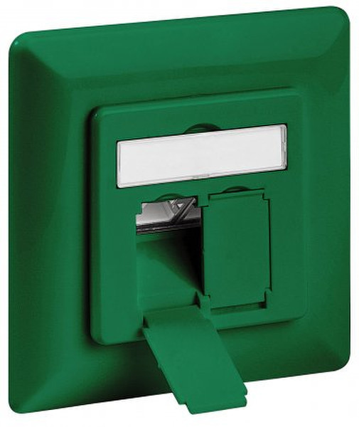 Intellinet 771696 2 x RJ-45 Зеленый розетка