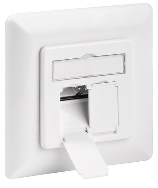 Intellinet 771603 2 x RJ-45 White socket-outlet