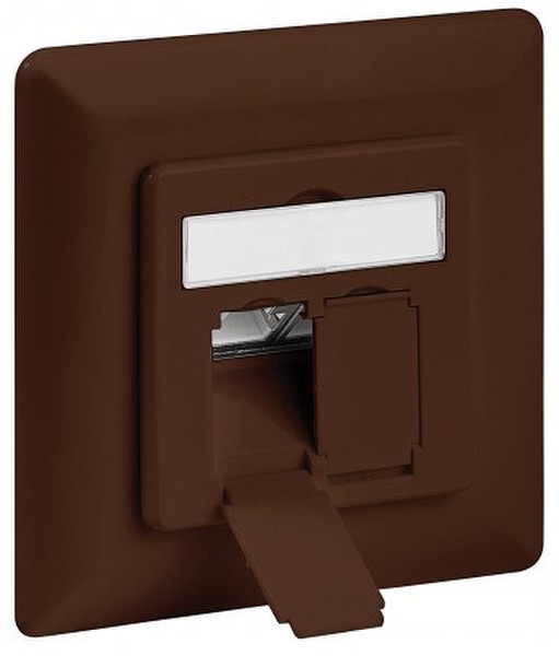 Intellinet 771528 2 x RJ-45 Brown socket-outlet