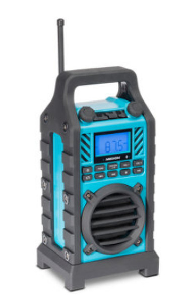 Ibyte E66263 Portable Analog Black,Blue radio
