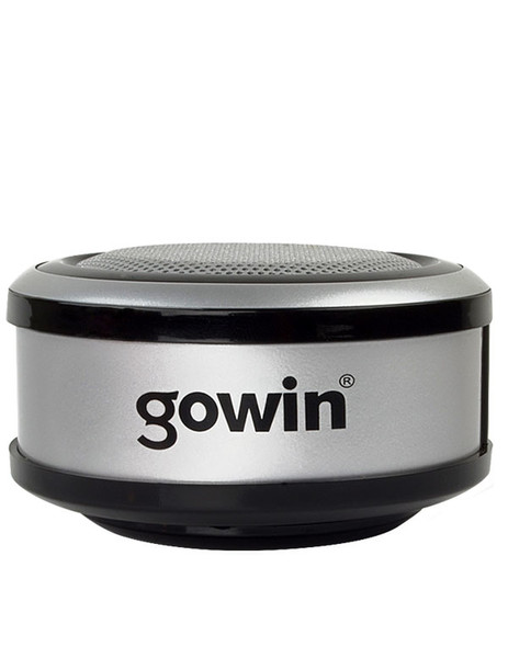 Gowin RED-301 GRIS Grau Tragbarer Lautsprecher