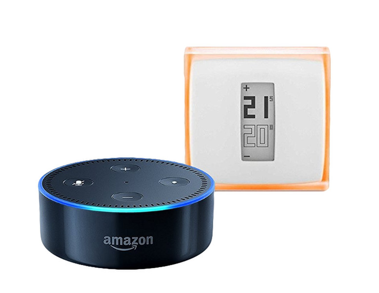 Amazon Echo Dot + Netatmo Thermostat