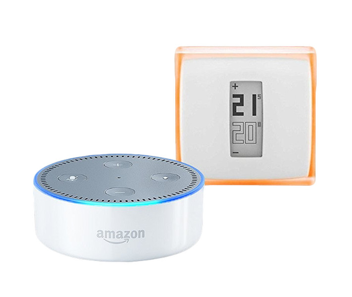 Amazon Echo Dot + Netatmo Thermostat