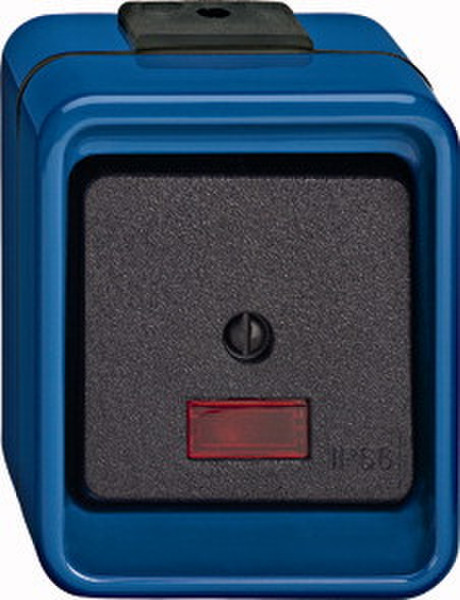 Merten 375975 1P Black,Blue electrical switch