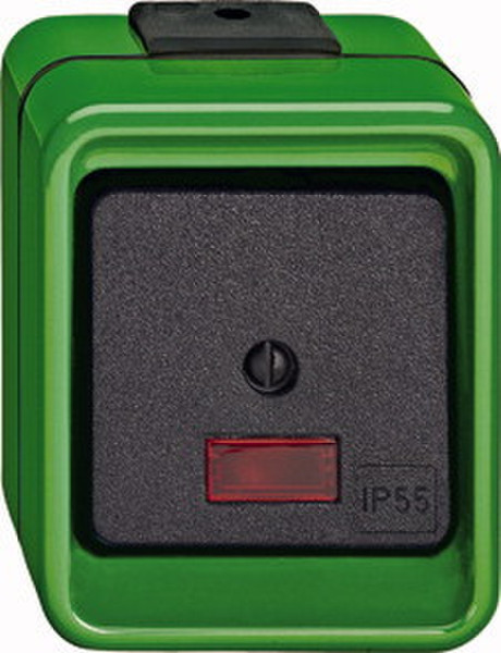 Merten 375977 Black,Green electrical switch