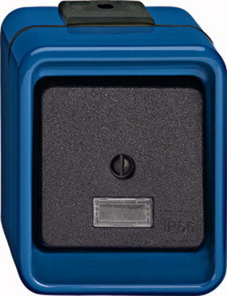 Merten 370675 Black,Blue electrical switch