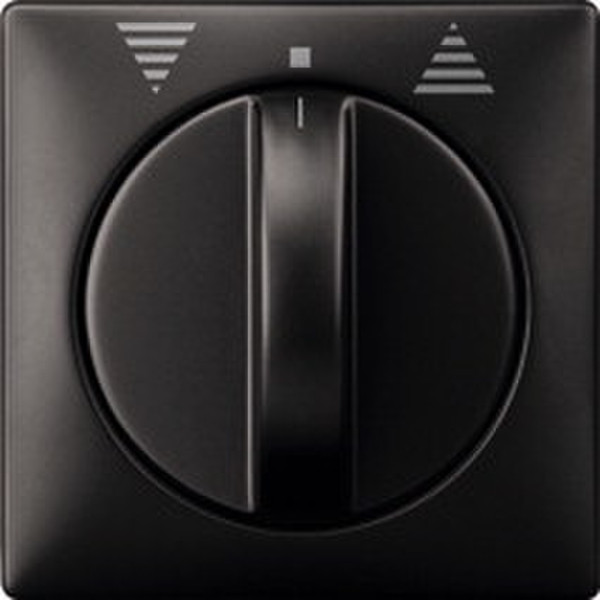 Merten 319269 Black,Grey electrical switch