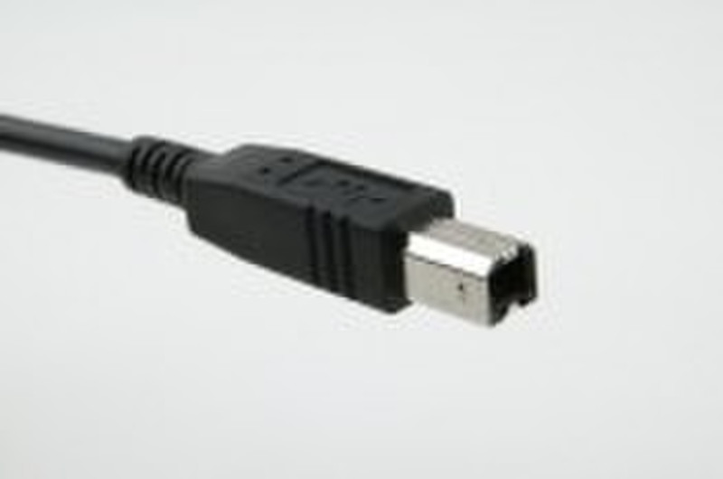 Iconn USB2.0 A – B Cable, A Male – B Male 5m Black 5m Black USB cable