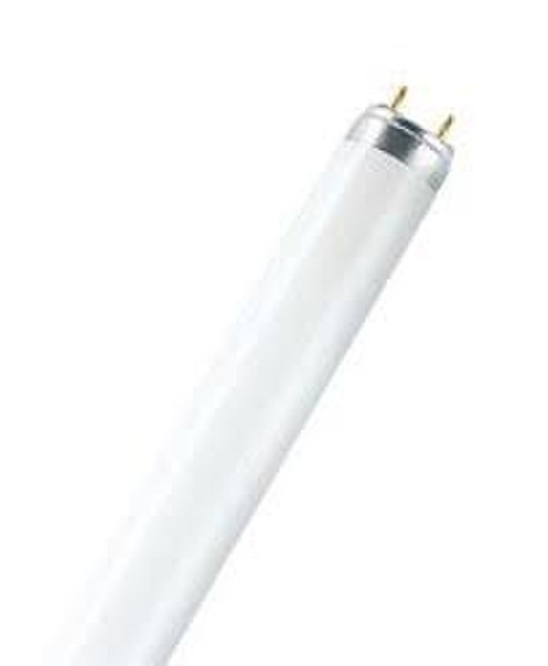 Osram L 36 W/950 36W G13 B Daylight fluorescent bulb