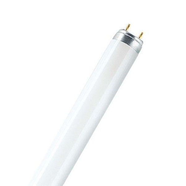 Osram L 58 W/60 58Вт G13 A люминисцентная лампа