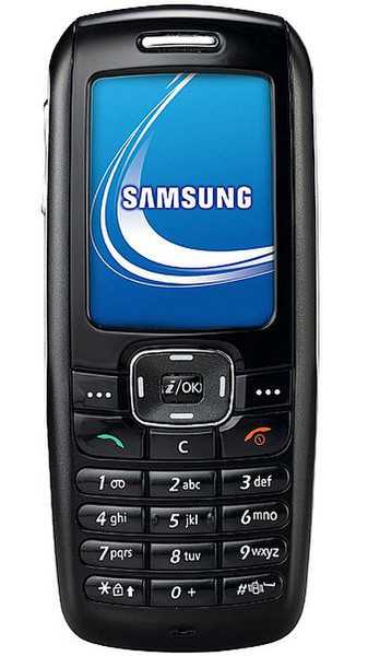 Samsung SGH-X620 71г Черный