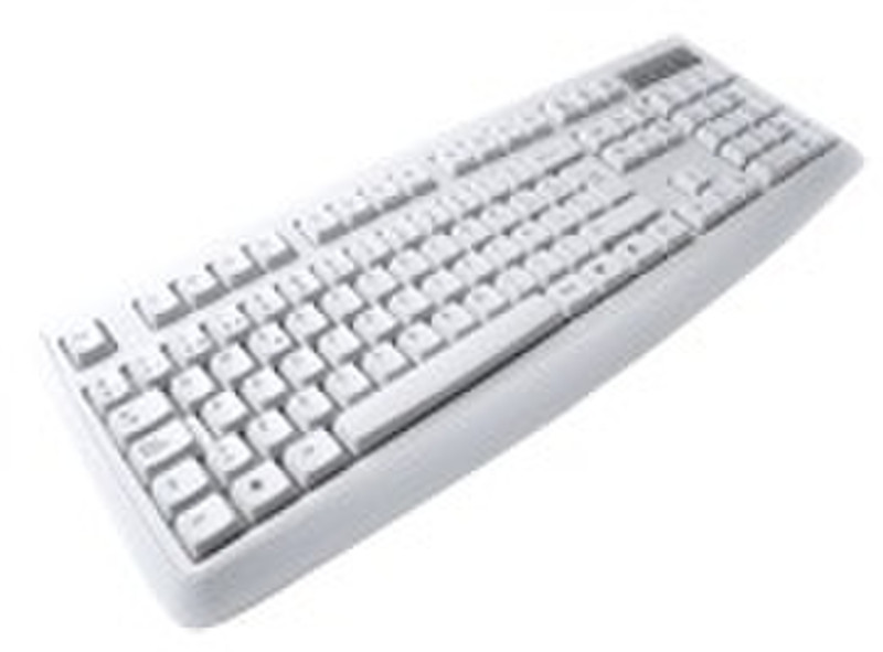 Rainbow R8965W PS/2 White keyboard