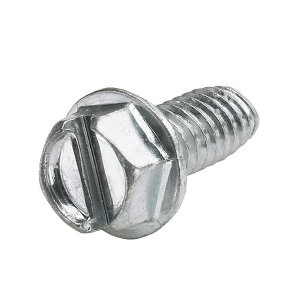 Panduit RGTSM6-C Screw M6 12mm 100pc(s)