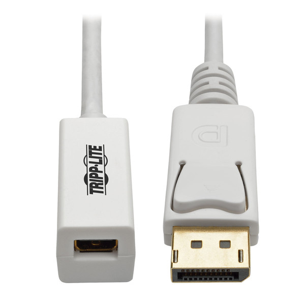 Tripp Lite DisplayPort to Mini DisplayPort Cable Adapter, 4K x 2K/3840 x 2160 (M/F), 15.24 cm (6-in.)