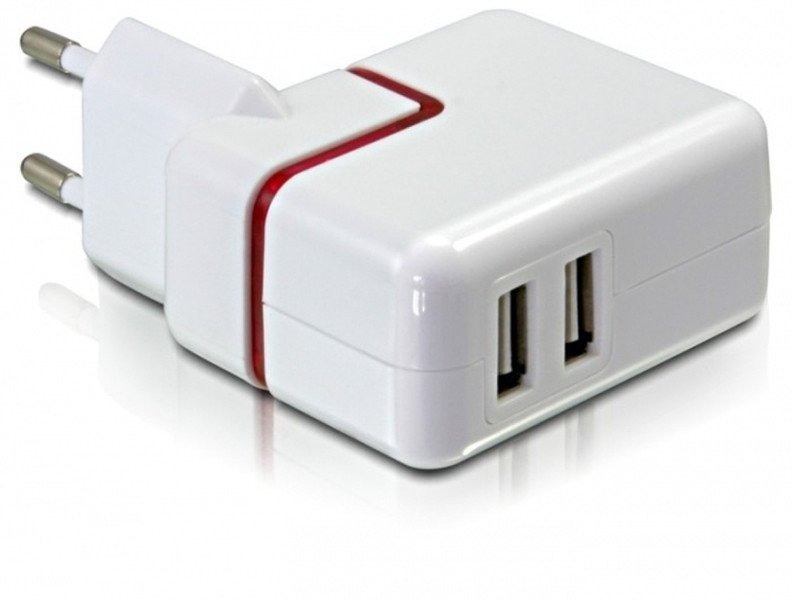 DeLOCK USB Power Supply White power adapter/inverter