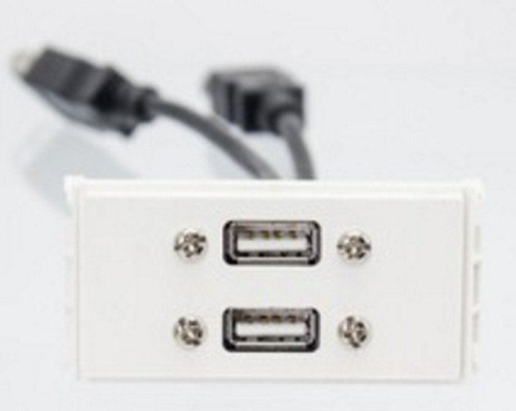 VivoLink WI221269 2 x USB A White socket-outlet