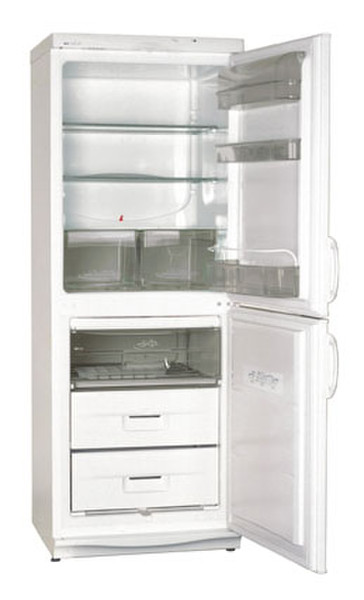 Exquisit RF300.1501 Отдельностоящий 251л Белый холодильник с морозильной камерой