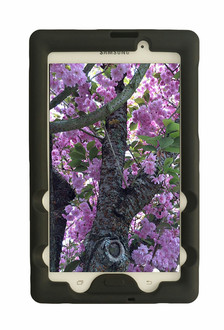 BobjGear BJGRSGTA1607 7