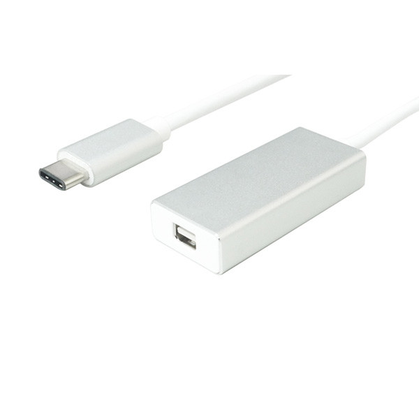 Secomp 12.99.3225 0.1m USB C Mini DisplayPort Silber, Weiß Videokabel-Adapter