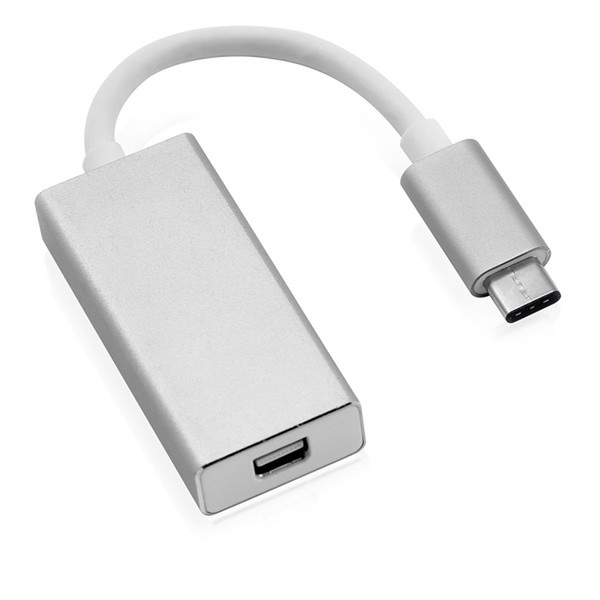 Secomp 12.03.3225 0.1m USB C Mini DisplayPort Silber, Weiß Videokabel-Adapter