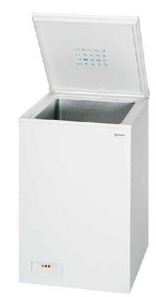 Indesit GCO 120 freestanding Chest C White freezer