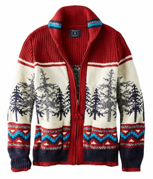 American Eagle Outfitters 1149-0009-600 мужской свитер/кофта с капюшоном