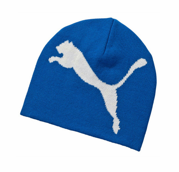 PUMA Big Cat Beanie