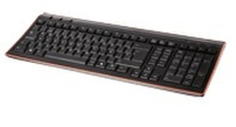 Rainbow RBW Morpheus Keyboard USB Black keyboard