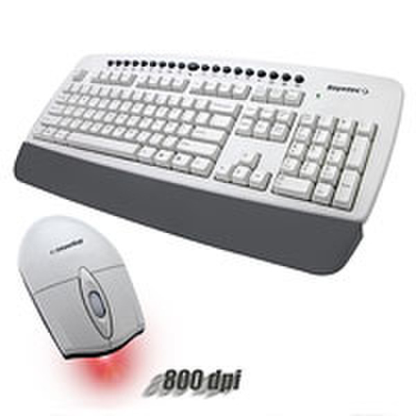 Soyntec Weboard Pro 300 Беспроводной RF QWERTY Белый клавиатура