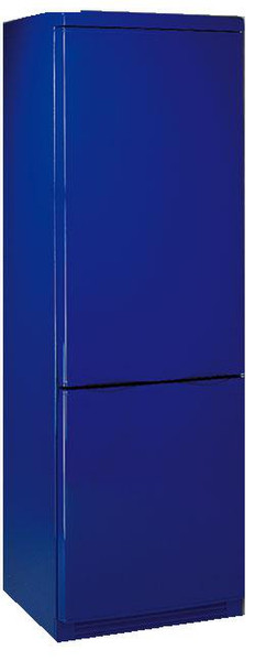 EDY KD 3774 A Plus Blue freestanding 301L Blue fridge-freezer