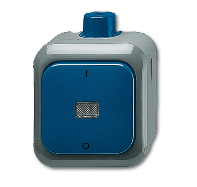 Busch-Jaeger 2601/2 WDI Blue,Grey light switch