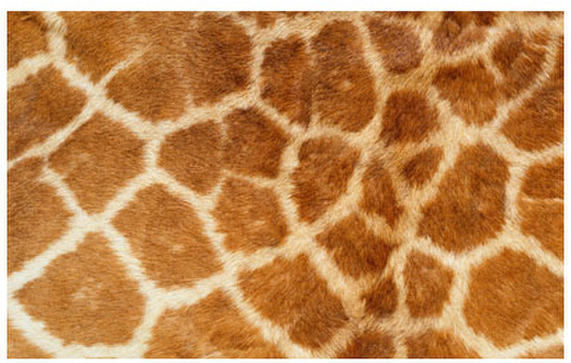 Wentronic Laptop Skin Giraffe XS
