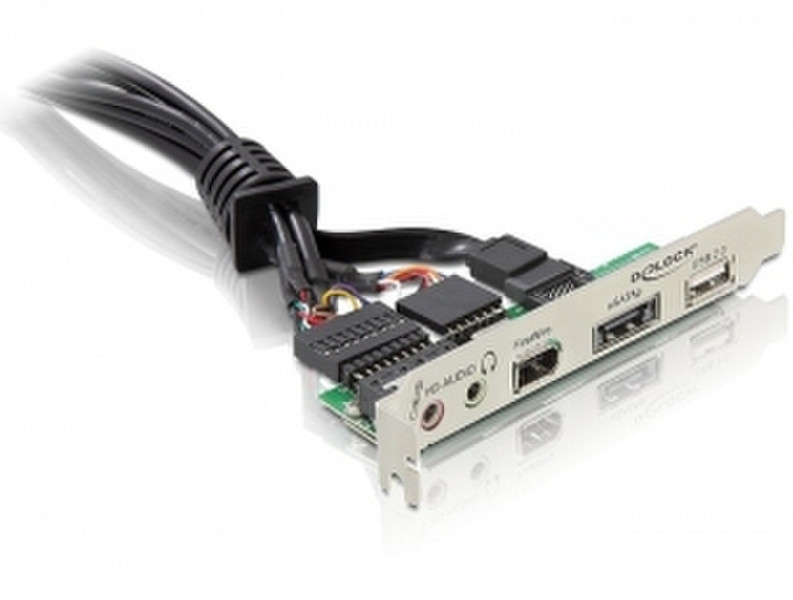 DeLOCK Slotbracket eSATAp/USB 2.0/FireWire/HD-Audio Schnittstellenkarte/Adapter