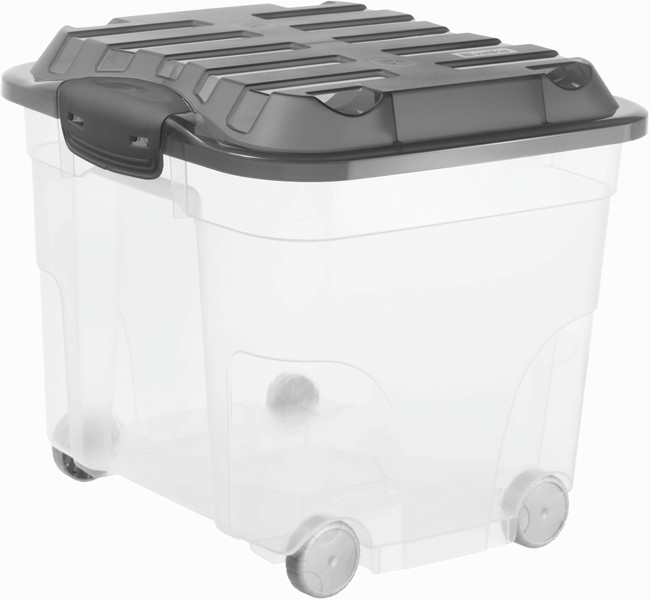 Rotho 17629 Aufbewahrungsbox Quadratisch Polypropylene (PP) Anthrazit