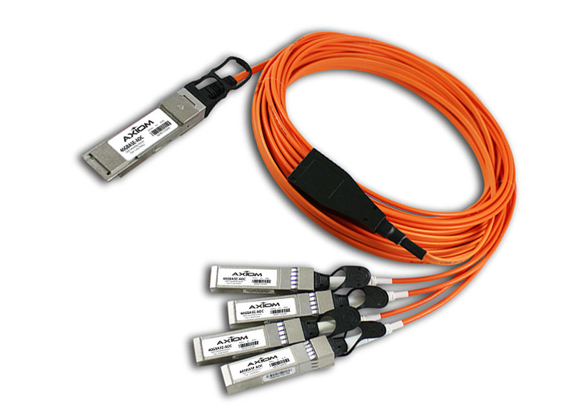 Axiom 10m, QSFP+/4xSFP+