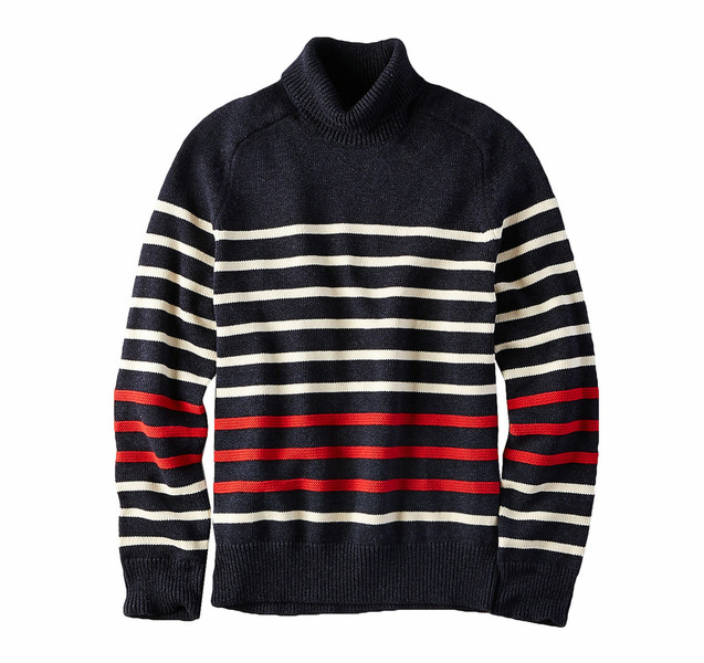 American Eagle Outfitters AEO STRIPE TURTLENECK SWEATER