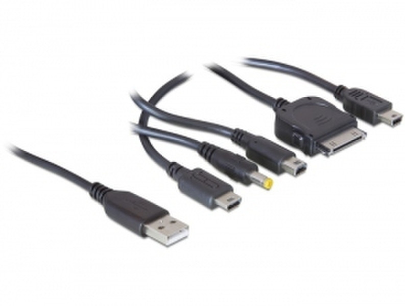 DeLOCK USB 2.0 / 5 x iPhone + Nintendo + PSP Schwarz Ladegerät für Mobilgeräte