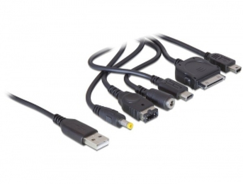 DeLOCK USB 2.0 / 6 x iPod + Nintendo + PSP + USB mini + 3.5 DC Schwarz Ladegerät für Mobilgeräte