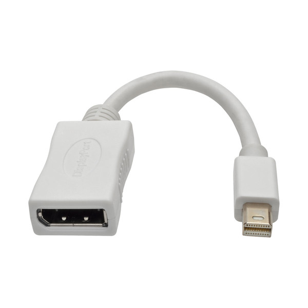 Tripp Lite 15.24 cm Keyspan Mini DisplayPort 1.2a to DisplayPort Cable Adapter and Video Converter, 4K x 2K/3840 x 2160 (M/F) @ 60 Hz