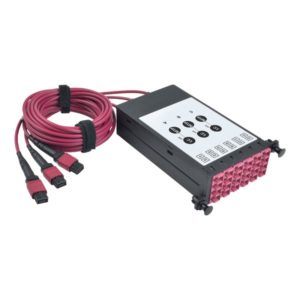 Tripp Lite OM4 Fiber Breakout Cassette w/Built-In MTP Cables, 40 GB to 10 GB, (x3) 8-Fiber OM4 MTP/MPO to (x12) LC Duplex