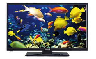 Digiquest DGQ32169 HEVC DVBT/S 32Zoll HD Schwarz LED-Fernseher