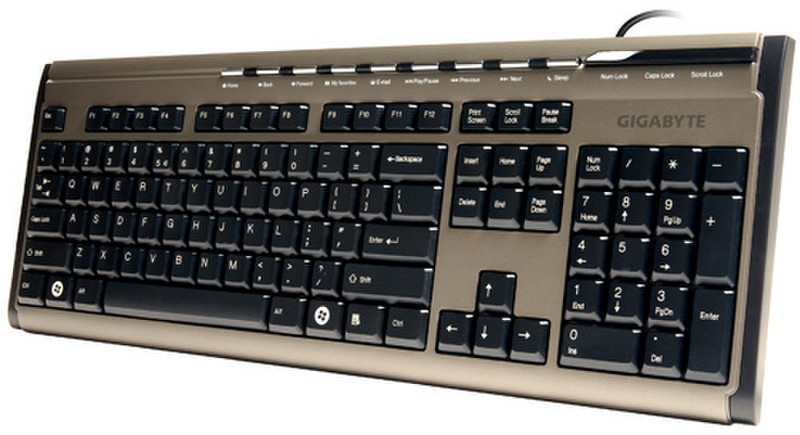 Gigabyte GK-K6150 USB QWERTY Tastatur