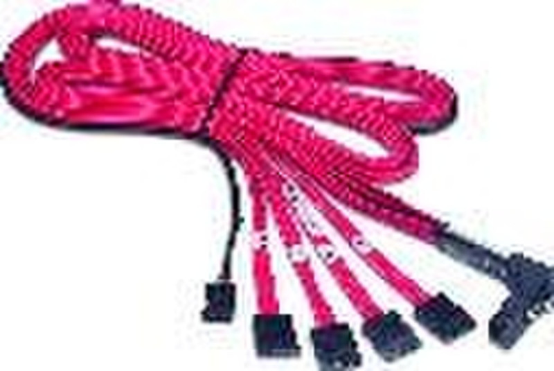 Promise Technology Promise Mini SAS to SATA Mini-SAS SATA cable interface/gender adapter