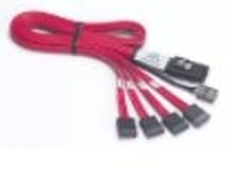 Promise Technology Promise Mini-SAS to SATA(x4) Mini-SAS SATA(x4) cable interface/gender adapter